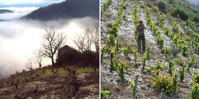 Bodegas y Viñedos Paixar