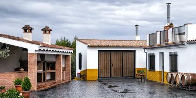 Vinos Bio Pedro Olivares