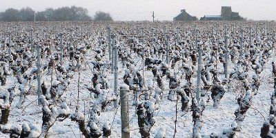 Domaine de la Pépière