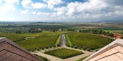 Petra Azienda Agricola