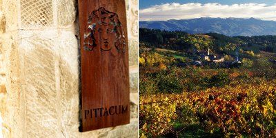 Wine bu the winery Pittacum.