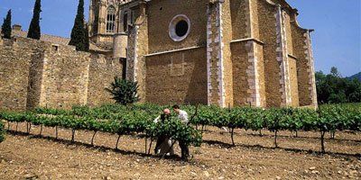 Vins Abadia de Poblet