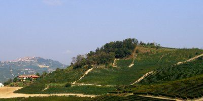 Poderi Aldo Conterno