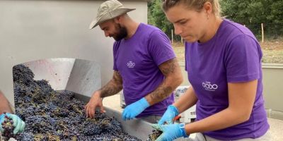 Podere Giodo
