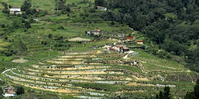 Prádio Bodega