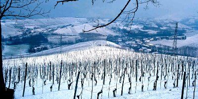 Prunotto