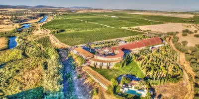 Bodega Pago del Vicario