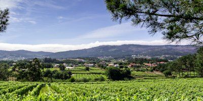 Quinta de Couselo