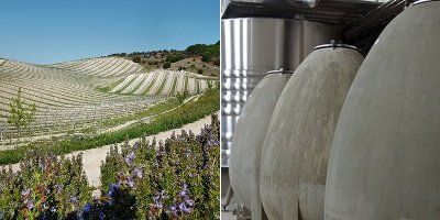 Quinta Sardonia