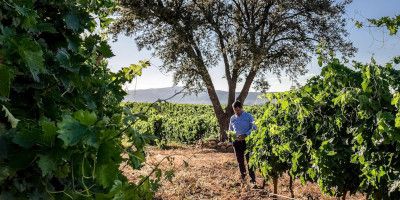 Bodegas Queiron