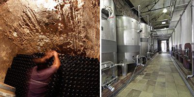 Bodega Ribas