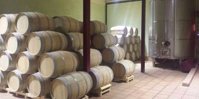 Ritme Celler