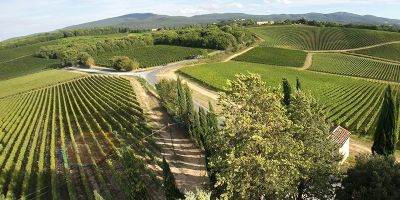 Ruffino