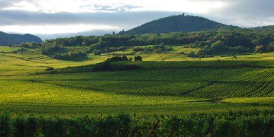 Domaine Schwach