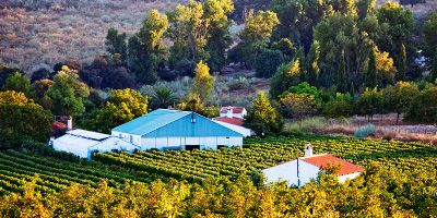  Bodega F.Schatz