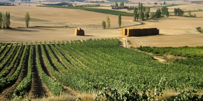 Bodegas Señorío de Líbano