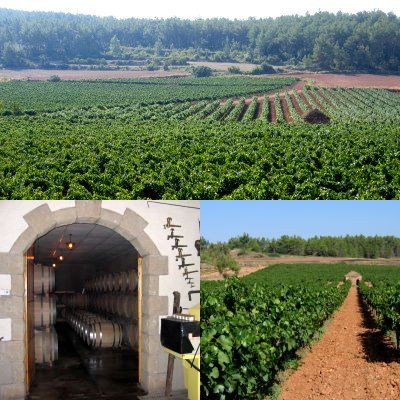 Celler Solergibert