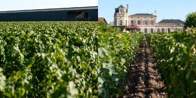 Château Chasse-Spleen