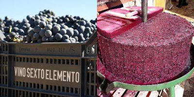 Bodega Sexto Elemento