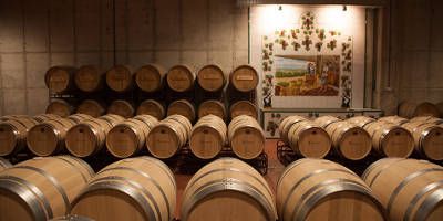 Bodegas Tagonius