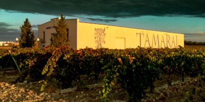 Bodegas y Viñedos Tamaral