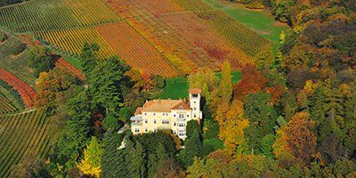 Tenuta San Leonardo