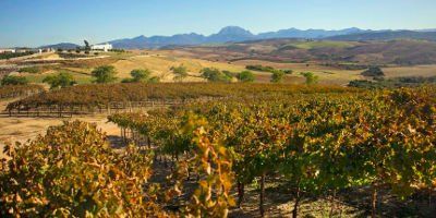 Bodega Tesalia