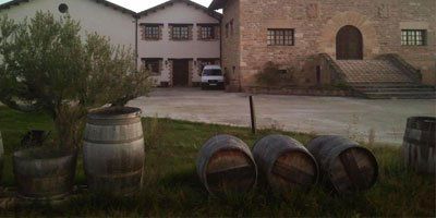 The Wine Love