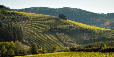 Tenuta Tignanello - Marchesi Antinori