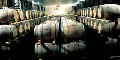 Bodegas Tionio