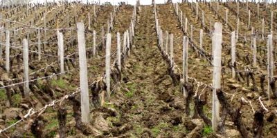 Domaine Domaine André et Mireille Tissot