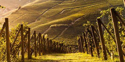 Tenuta Carretta