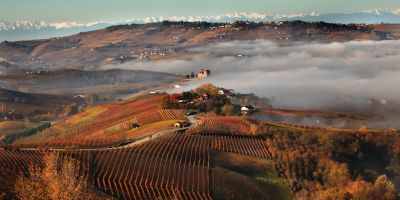 Terre del Barolo