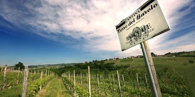 Terre del Barolo