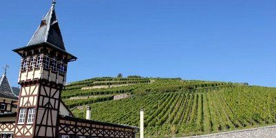 Domaine Trimbach