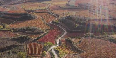 Ukan Winery