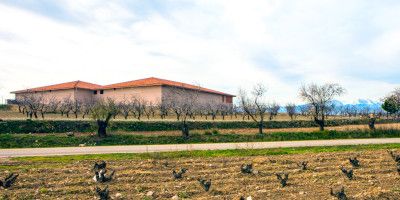 Bodegas Alto Moncayo