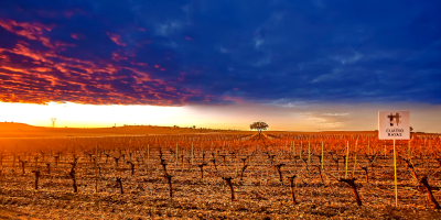 Bodega Cuatro Rayas