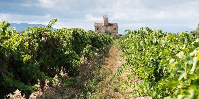 Celler Joan d'Anguera