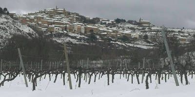 Unsi Wines
