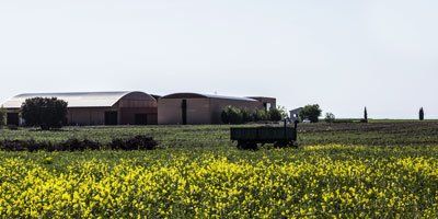 Bodegas y Viñedos Valtravieso