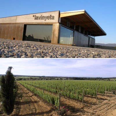 La Vinyeta