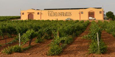 Bodega Valdelosfrailes