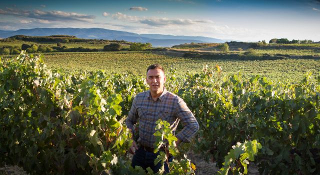 Territorio y viticultura