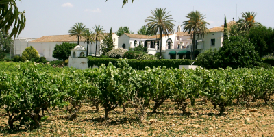 Finca Viladellops