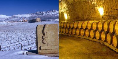Viñedos de Páganos