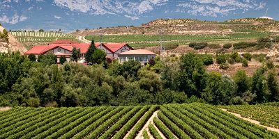 Bodegas Viña Salceda