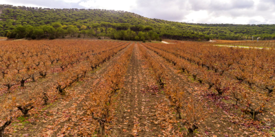 Bodegas Vega Sicilia