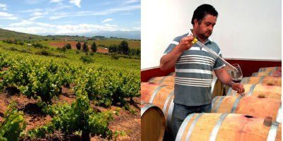 Vinos Valtuille
