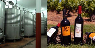Vinos Valtuille